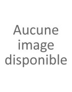 Points d’Accès Wi-Fi Professionnels